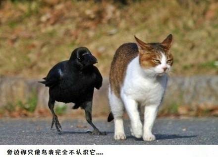 经典搞笑的一句话 (图1) 经典搞笑的一句话 (图1)