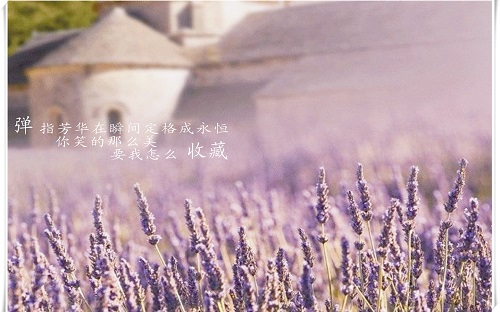 带图片的经典伤感说说大全 (图19) 带图片的经典伤感说说大全 (图19)