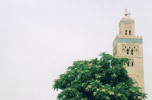 说说带图片 (图12) 说说带图片 (图12)
