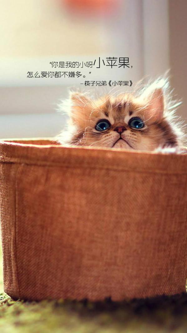 好看的带文字的图片 带字的说说图片大全 说(图5)