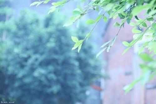 唯美的微信伤感签名 伤感微信说说大全 (图2) 唯美的微信伤感签名 伤感微信说说大全 (图2)