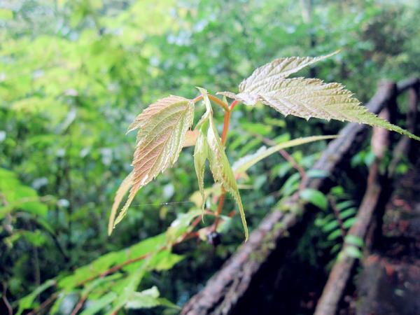 人生哲言经典语句大全