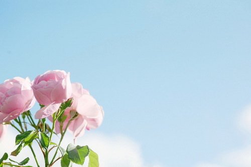 QQ空间发表说说带图片 (图1) QQ空间发表说说带图片 (图1)