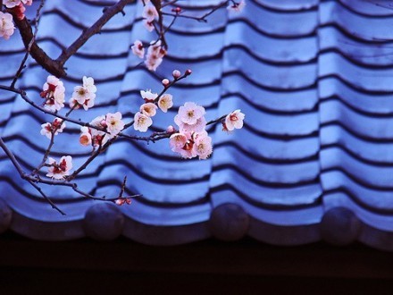 qq空间经典说说大全 (图2) qq空间经典说说大全 (图2)