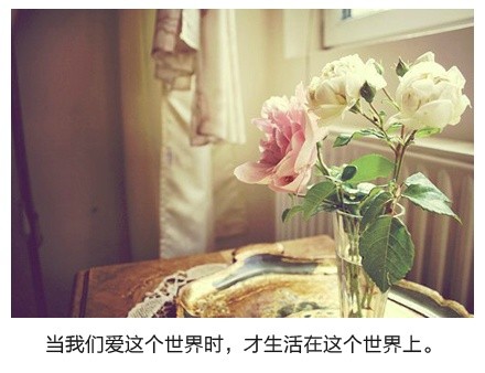 图片大全唯美带字的 带字图片大全唯美 (图2) 图片大全唯美带字的 带字图片大全唯美 (图2)