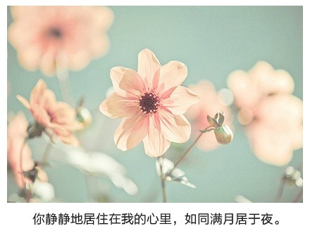 图片大全唯美带字的 带字图片大全唯美 (图4) 图片大全唯美带字的 带字图片大全唯美 (图4)