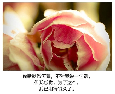 图片大全唯美带字的 带字图片大全唯美 (图5) 图片大全唯美带字的 带字图片大全唯美 (图5)