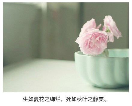图片大全唯美带字的 带字图片大全唯美 (图7) 图片大全唯美带字的 带字图片大全唯美 (图7)