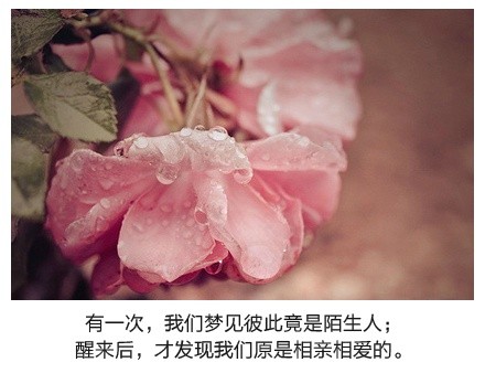 图片大全唯美带字的 带字图片大全唯美 (图8) 图片大全唯美带字的 带字图片大全唯美 (图8)