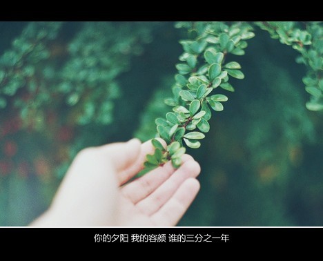 毕业说说带图片 带图片的毕业空间说说心情短语(图6) 毕业说说带图片 带图片的毕业空间说说心情短语(图6)