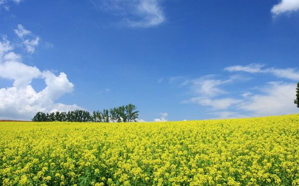 17条可以证明你喜欢上了ＴＡ (图1)