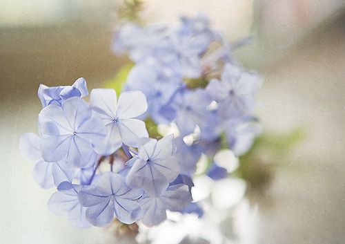一生中最应该远离的9种人 (图1)