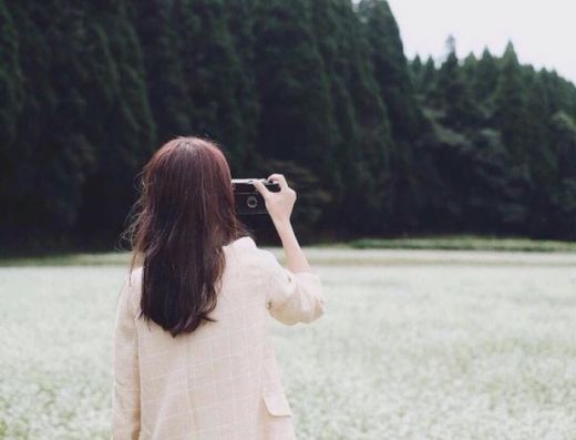 德克士的成功 (图1)