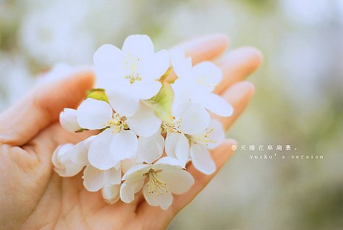 征询是一种尊重 