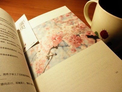 真正决定婚姻品质的，正是一个人的婚内修养 (图1)