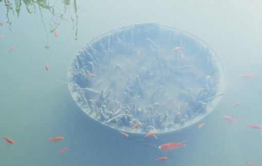 我老了，绝不做你这样的婆婆 