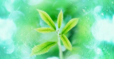 小学生必背的名言警句