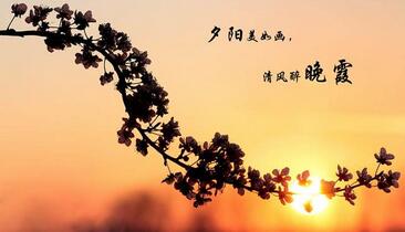 【名言警句】只要是辛勤的蜜蜂，在生活的广阔(图1)