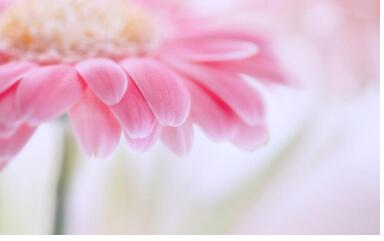 【英语名言】No man or woman is worth your tears, and th(图1)