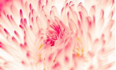 【英语名言】to love is not to look at one another, but (图1)