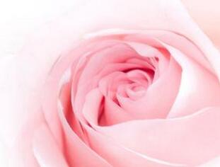 【英语名言】I love you wit