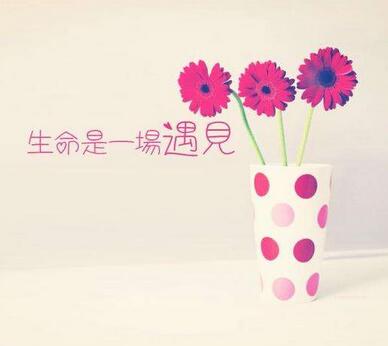【英语名言】I love you wit