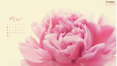 【英语名言】No man or woman is worth your tears, and th(图1)