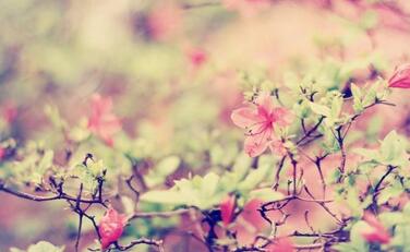 【英语名言】If your happin