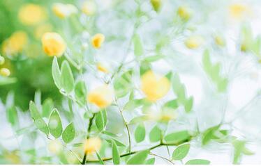 【英语名言】Its never too late to mend(图1)