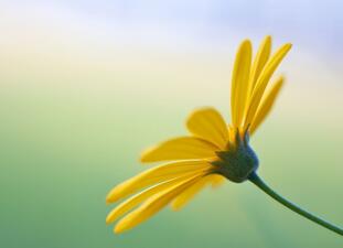 【英语名言】Happiness takes no account of time.(图1)