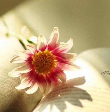 【英语名言】Do not, for one repulse, forgo the purpose (图1)