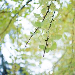 【英语名言】It takes a lot of thought and effort and do(图1)