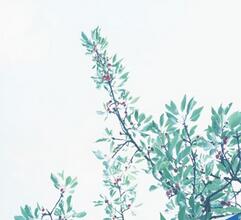 【英语名言】read, study an