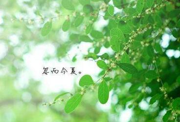 【英语名言】No man or woma