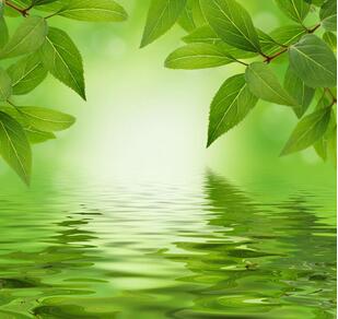 【英语名言】To be acquainted with the merit of ministry(图1)