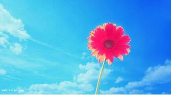 【英语名言】Some memory, to be able to erase; Just as s(图1)