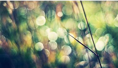 【英语名言】Our destiny offers not the cup of despair ,(图1)