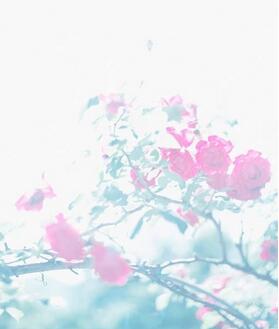 【英语名言】I love you wit
