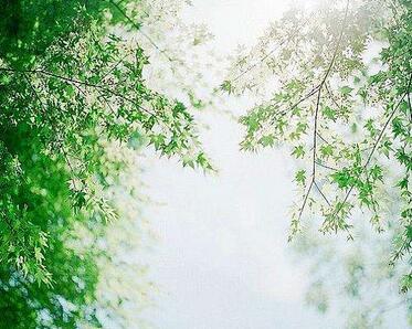 【英语名言】May your love soar on the wings of a dove i(图1)