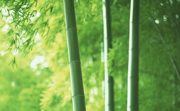【英语名言】Happiness takes no account of time(图1)
