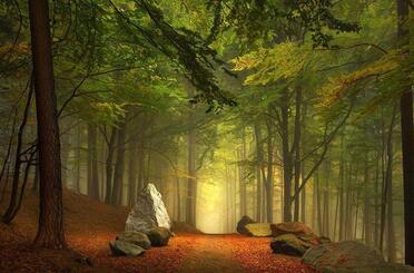 【英语名言】I love you without knowing how, why, or eve(图1)
