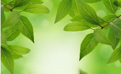 【英语名言】Love is a fire which burns unseen(图1)