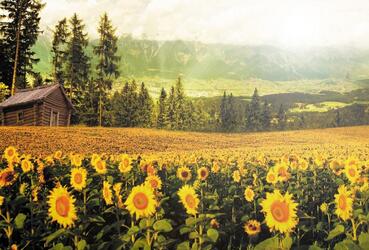 【英语名言】I felicitate the day I found you(图1)