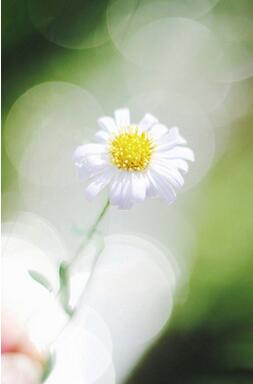 【英语名言】Victory won’t come to me unless I go to i(图1)