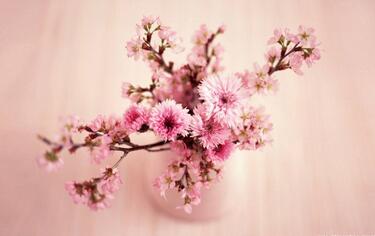 【英语名言】Honesty is the best policy(图1)
