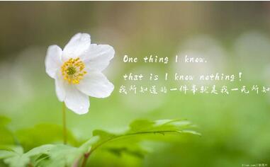 【英语名言】Suffering is the most powerful teacher of l(图1)