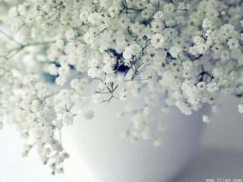 【英语名言】He that falls today may be up againtomorrow(图1)