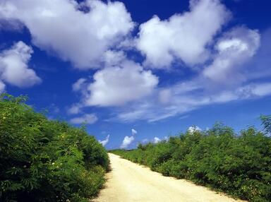 【英语名言】Victory wont come to me unless I go to it(图1)