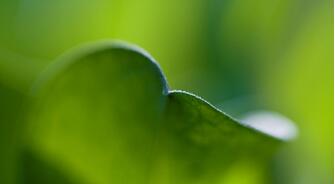 【爱情名言】There is only one success--- to be able to (图1)