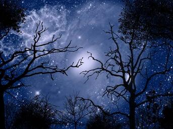 【英语名言】I love you not because of who you are, but (图1)